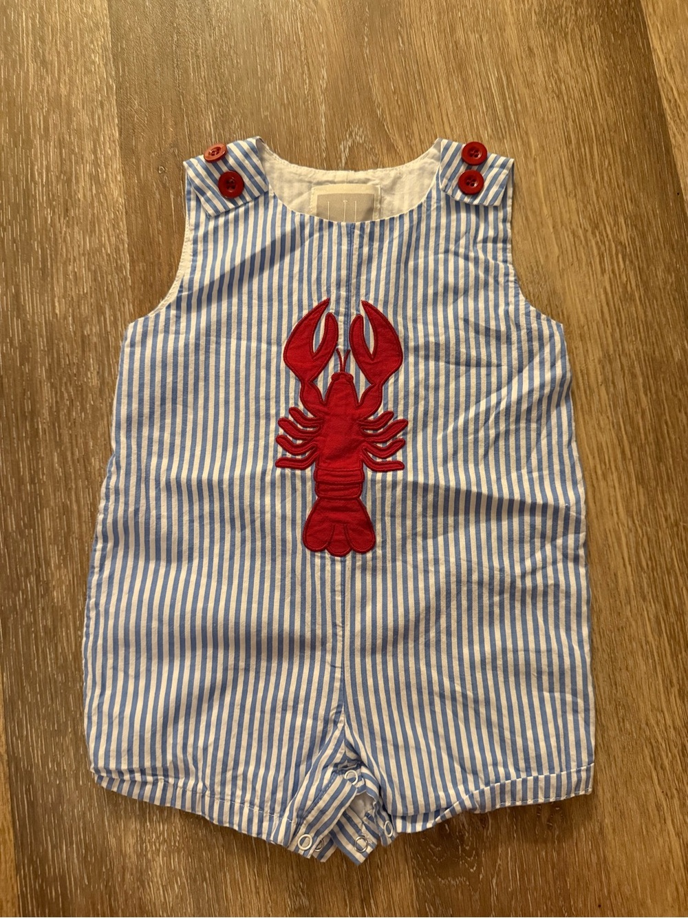 Cactus Blue & White Striped Lobster One-Piece